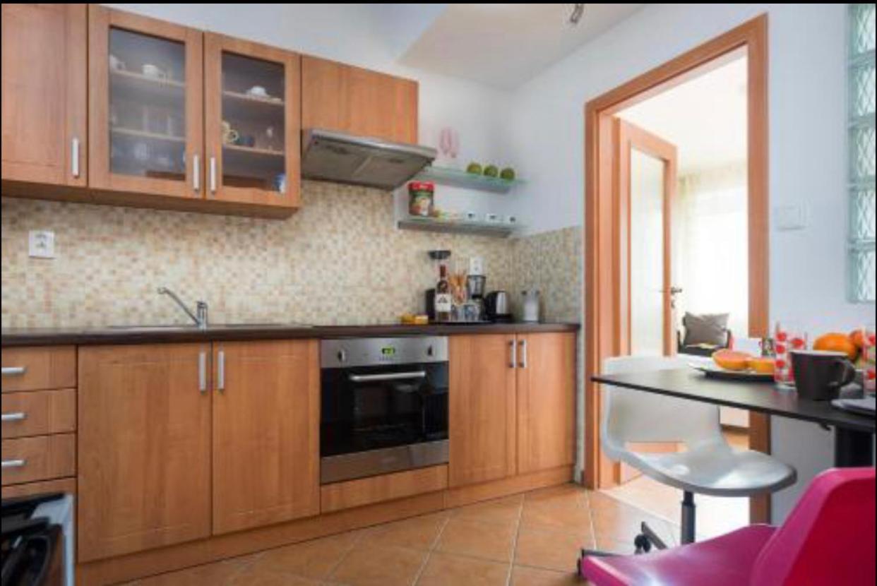 Old Town Apartment Pellicova برنو المظهر الخارجي الصورة