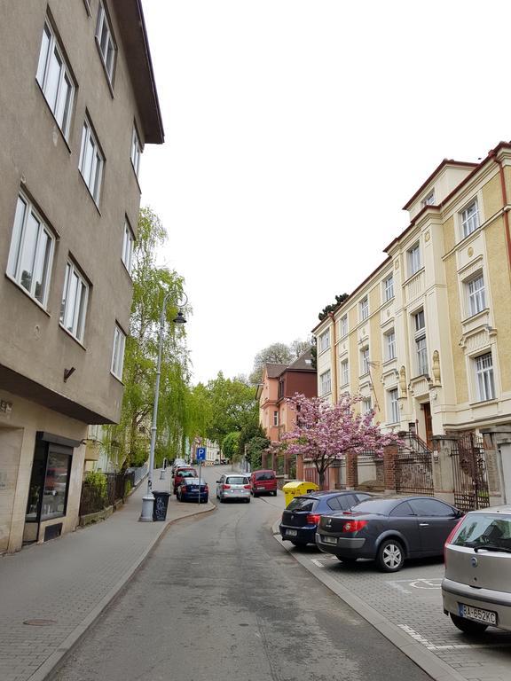 Old Town Apartment Pellicova برنو المظهر الخارجي الصورة