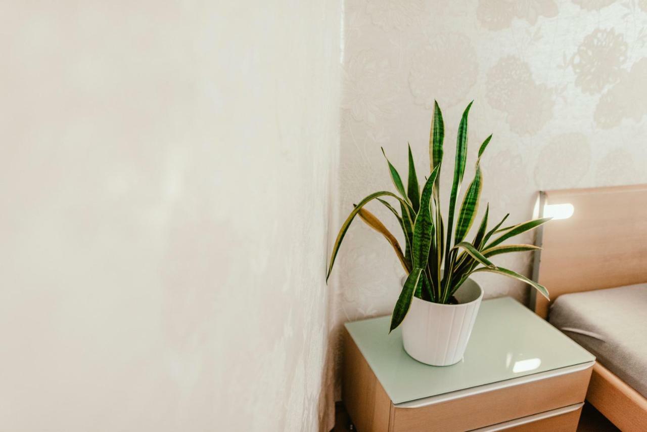 Old Town Apartment Pellicova برنو المظهر الخارجي الصورة