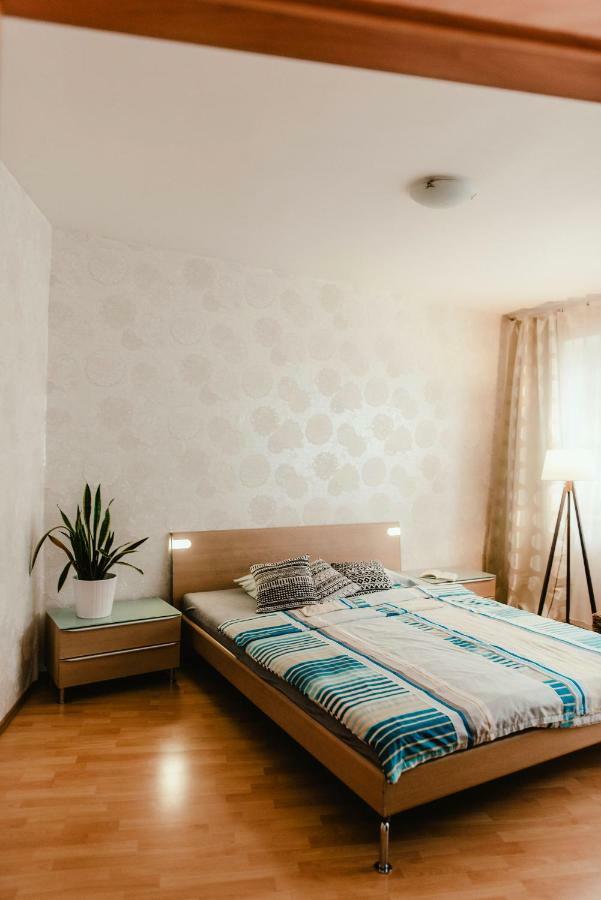 Old Town Apartment Pellicova برنو المظهر الخارجي الصورة