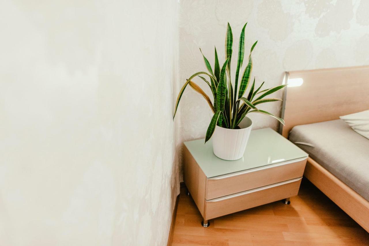 Old Town Apartment Pellicova برنو المظهر الخارجي الصورة