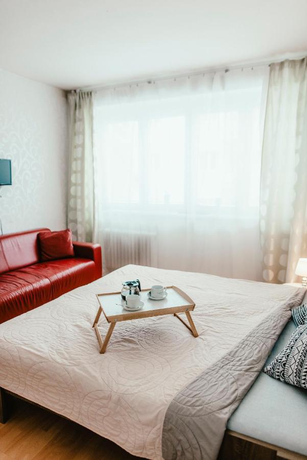 Old Town Apartment Pellicova برنو المظهر الخارجي الصورة